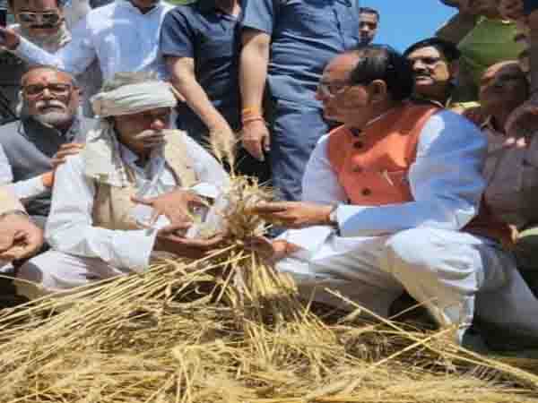 Wastage of crops is becoming a political issue in Madhya Pradesh