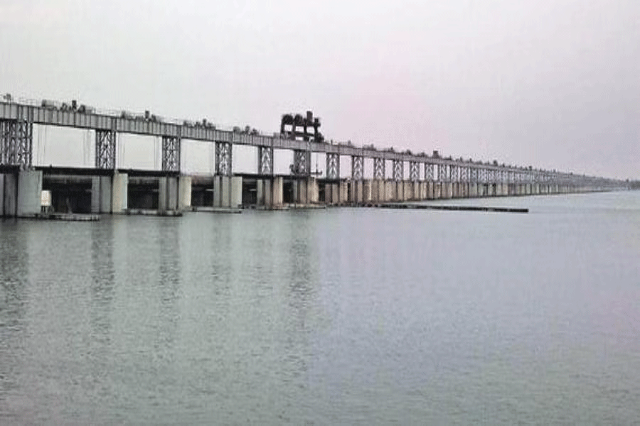 Mahanadi tribunal to make field visits in two phases