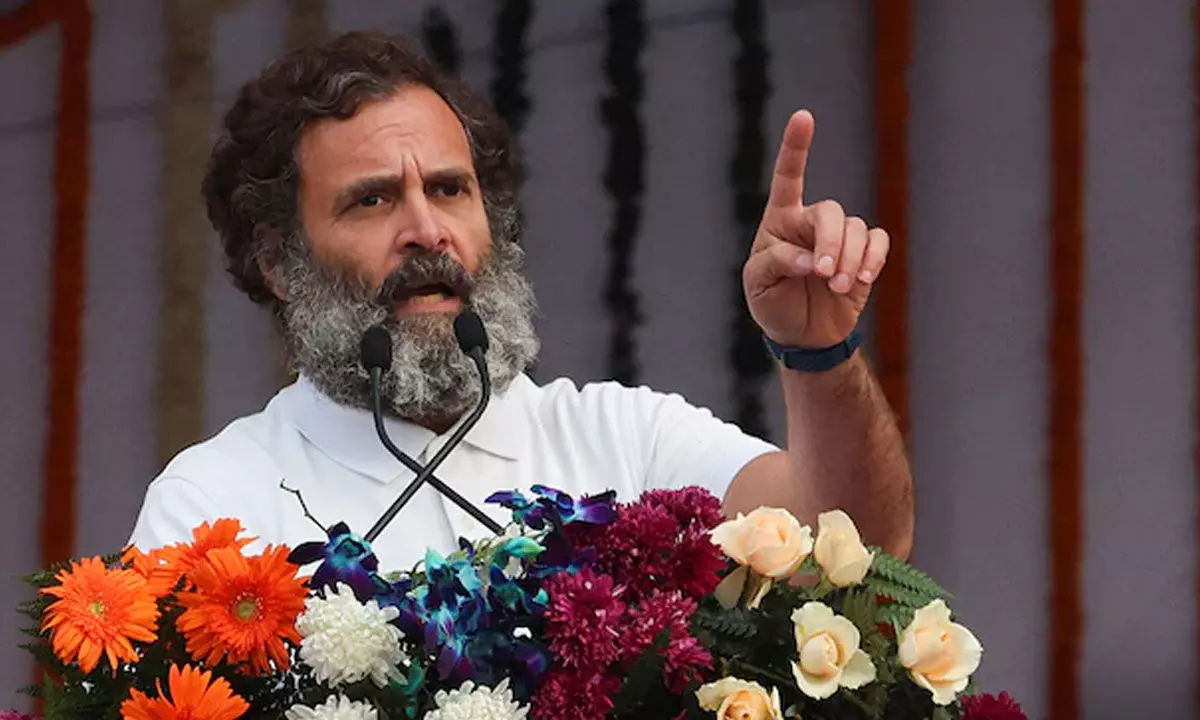 Rahul Gandhi disqualified as a member of the Lok Sabha