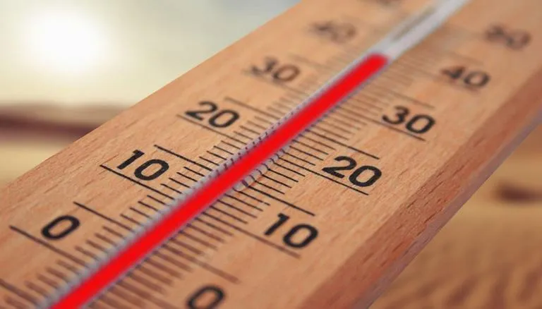 IPCC report a call to action for all, especially countries like India: Co-author