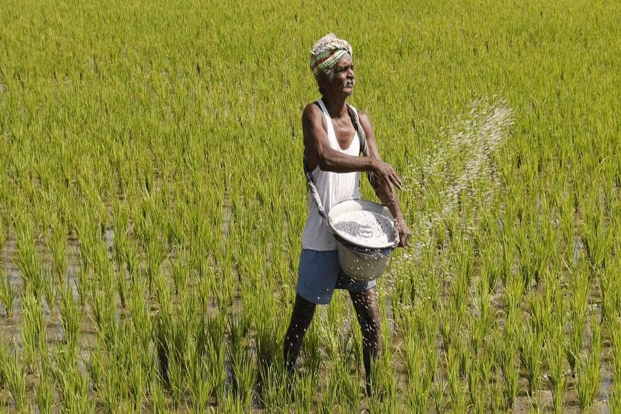 Irrigation projects in AP to be a game changer