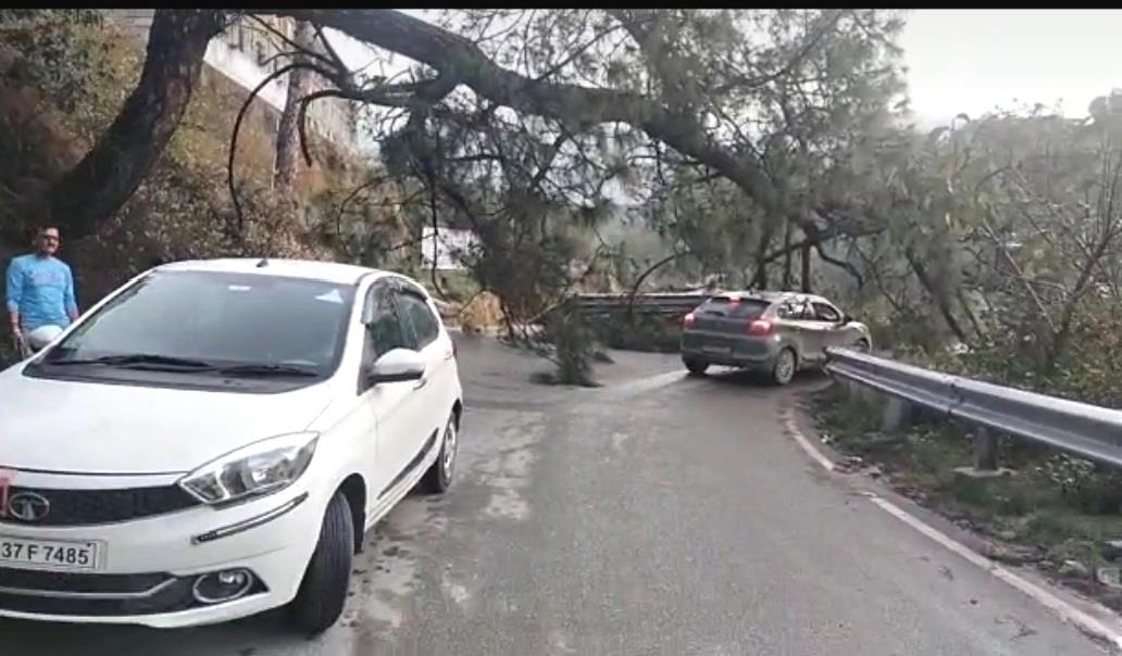 Normal life disrupted due to rain in Palampur