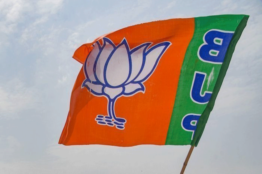 BJP to start internal review to pick candidates in Karnataka