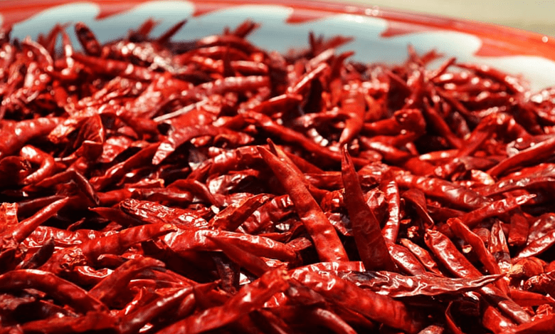 Telangana: Teja chilli hits record price of Rs 25.5K per quintal in Khammam