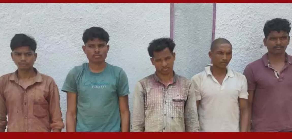 5 naxalites had gone to plant IED bomb, DRG team arrested