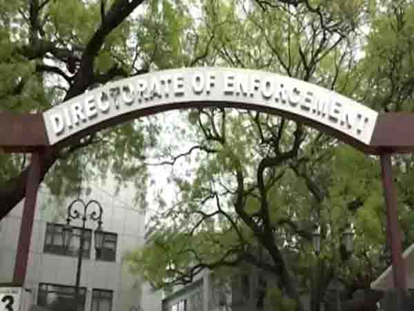 Bengal cattle scam: ED probing from ‘real estate investment’ angle