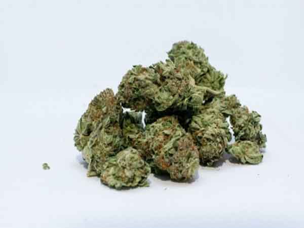 Delhi Police busts interstate drug syndicate, seizes 52 kg of ganja