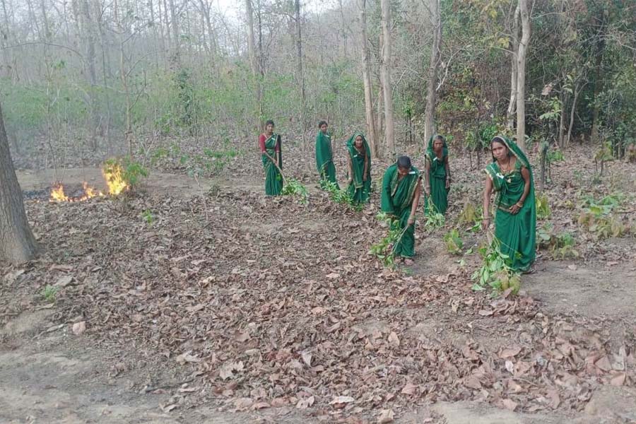 Women set an example of saving forests from fire