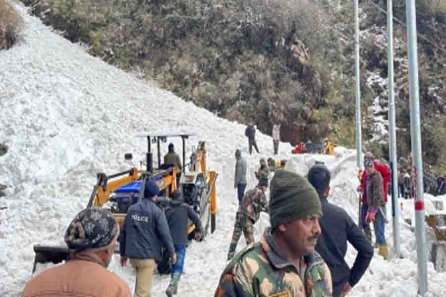 Avalanche kills 7 tourists in Sikkim, 350 rescued