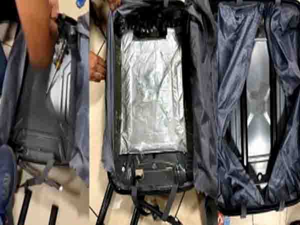 Cocaine worth Rs 20 crore seized in Mumbai, 3 arrested