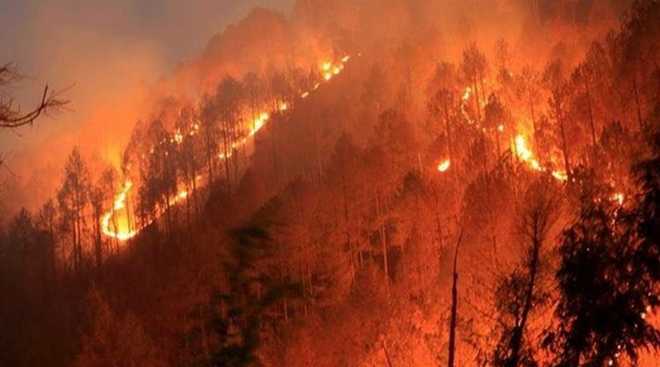 Satellite imagery used to investigate wildfires