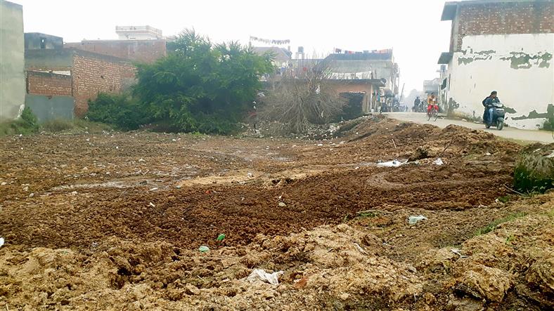 Cow dung heaps harmful to health