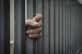 Arrested for insulting the tricolor
