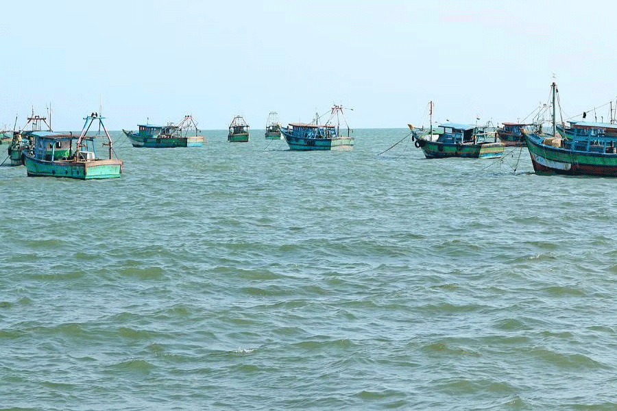 Tamil Nadu fisheries minister’s announcements get mixed response