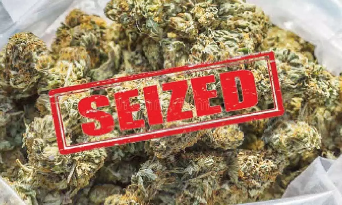 Interstate drug syndicate busted, 52 kg ganja seized