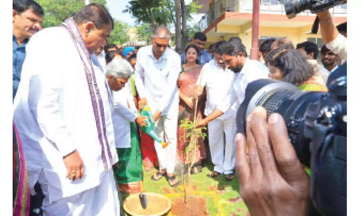 Telangana will become hub of naturopathy: Harish Rao