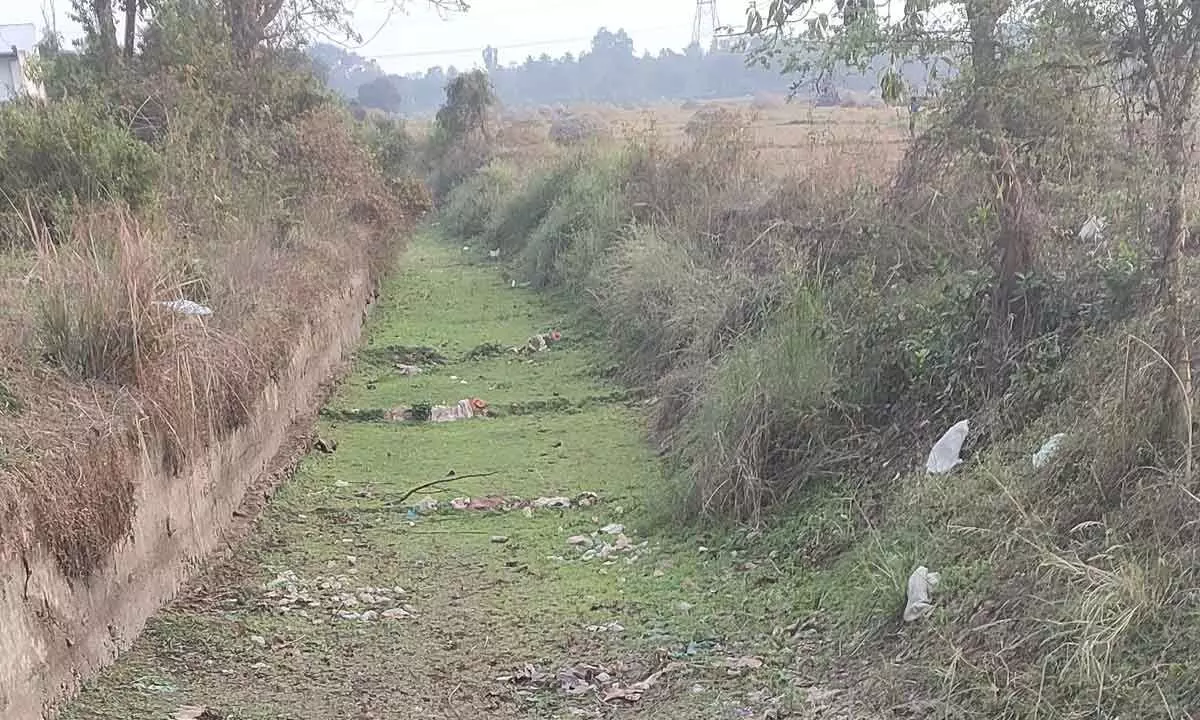 Neglect of irrigation canals in Srikakulam