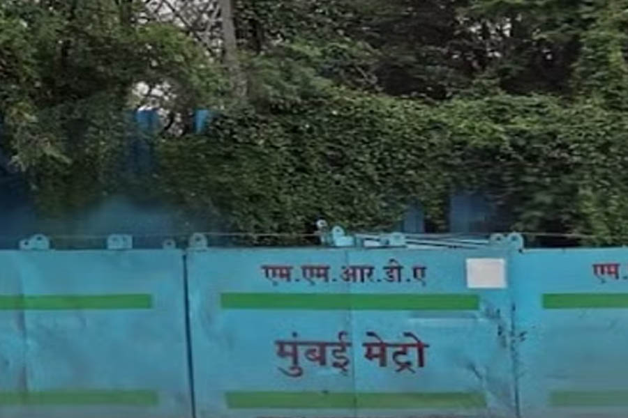 SC pulls up Mumbai Metro for bid to fell additional trees in Aarey