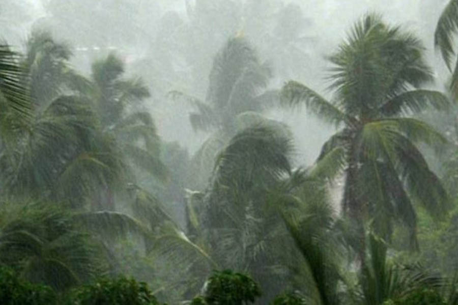 Rain and storm: Orange alert issued for 11 districts