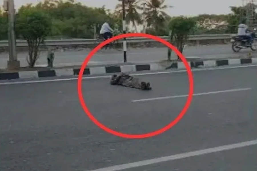 Rajkot: Liquor ban in the city, drunk youth fell asleep on the highway