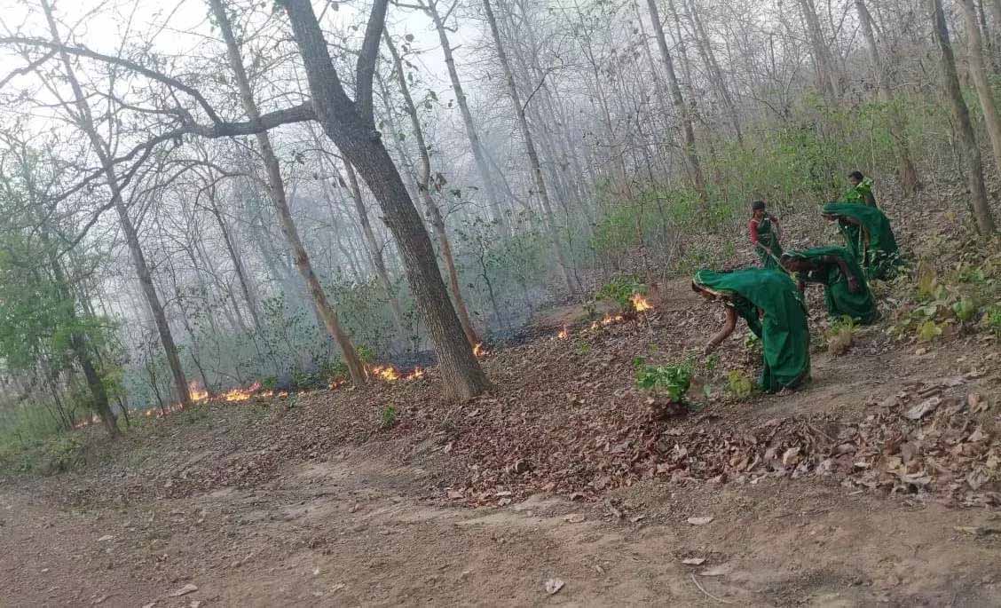 Women set an example to save the forest from the flames