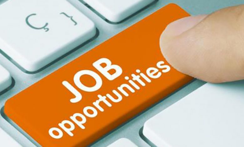 TREI-RB to open online applications for posts of lecturer in degree, junior colleges today