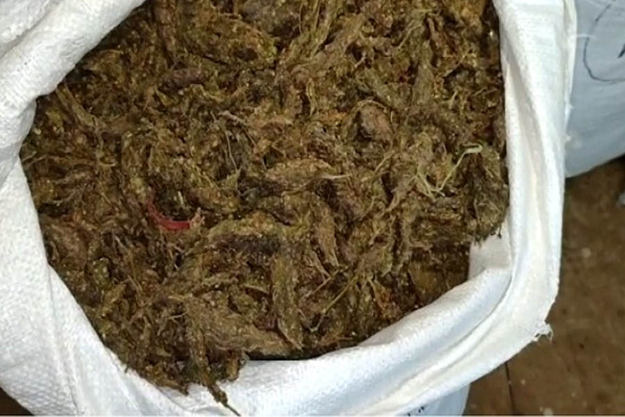 Hemp worth Rs 1.17 lakh seized in Dhenkanal, 2 arrested