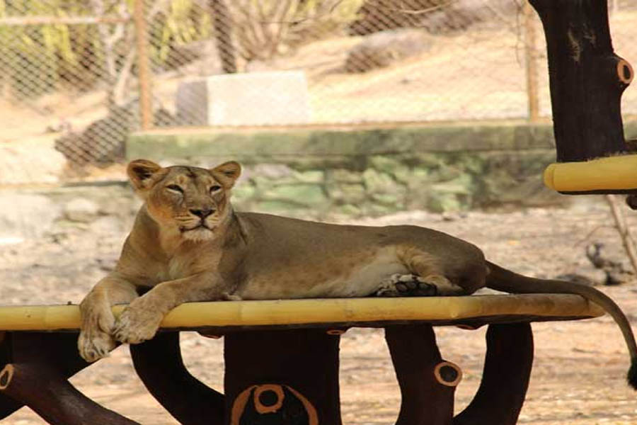 More animals, birds welcomed at Pilikula Biological Park
