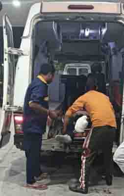 21-year-old man jumps in front of metro train, dies