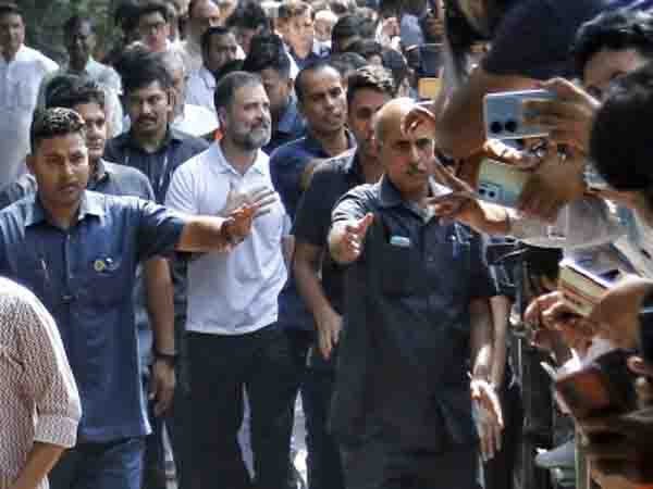 Rahul Effect: 15 out of 20 seats on the route of Bharat Jodo Yatra, Congress in the bag