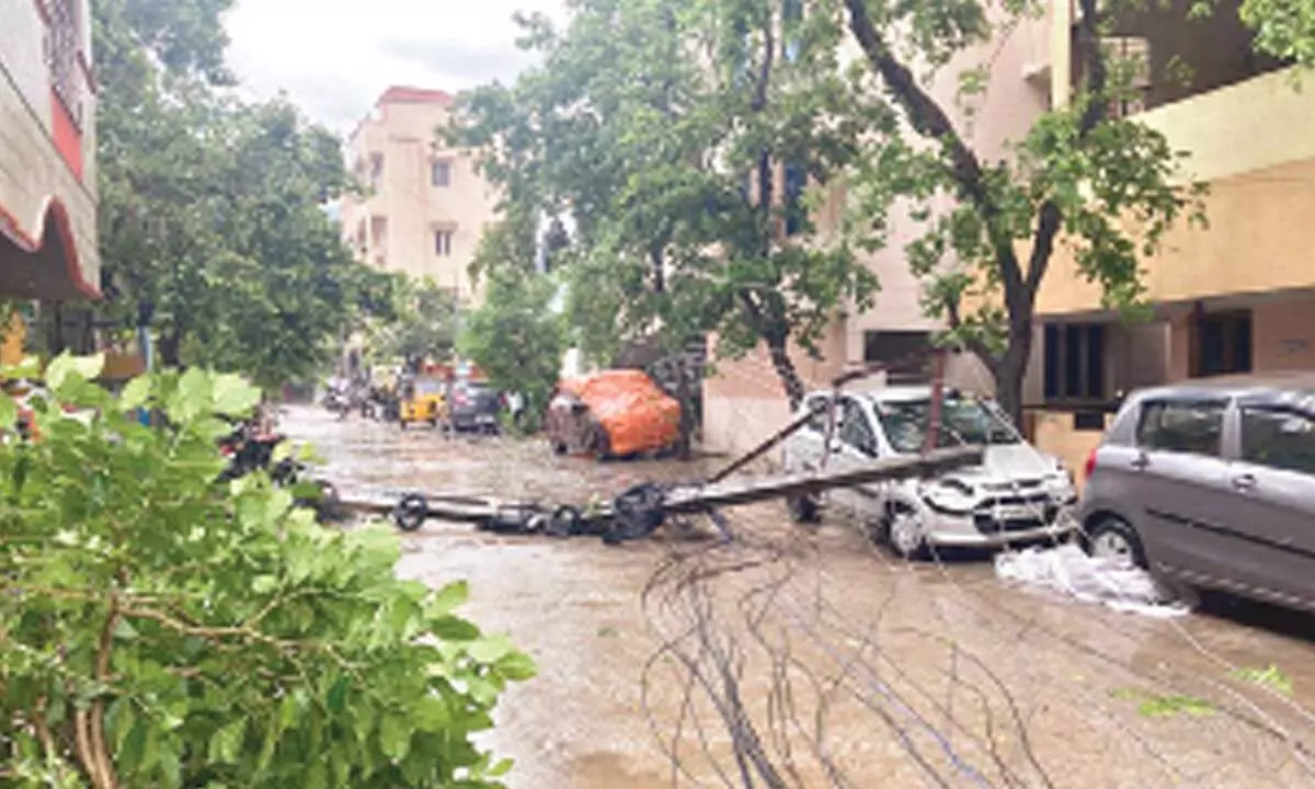 Heavy rains affect life in Tirupati