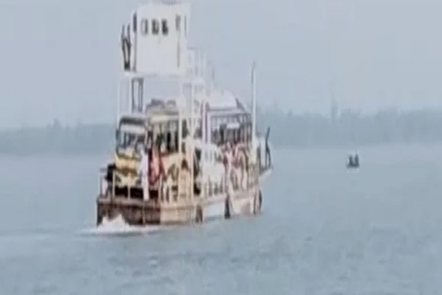 Odisha Govt To Introduce Solar-Powered Boats In Chilika Soon