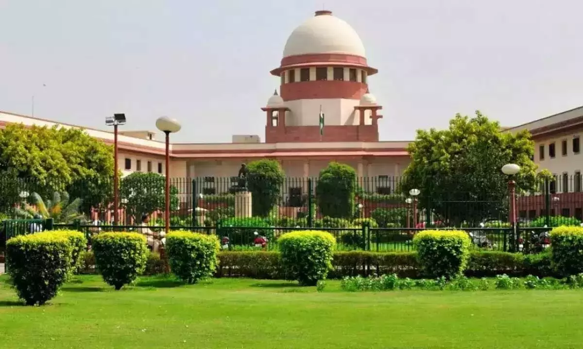 LG should work on the help and advice of the government: Supreme Court