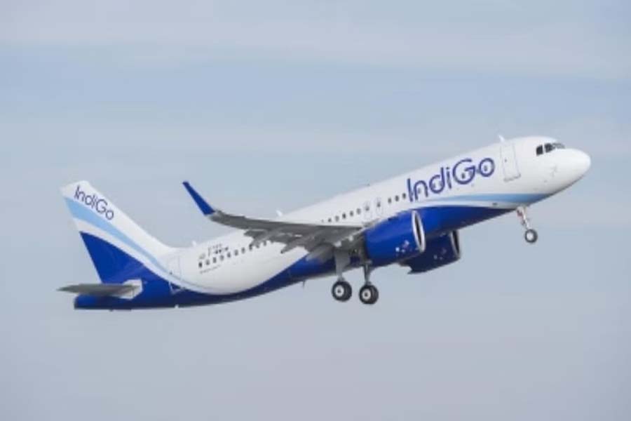 Indigo flight suffers bird hit, take-off aborted at Mangaluru airport