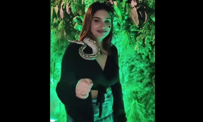 Hyderabad: Night club in Jubilee Hills displays exotic animals, videos go viral