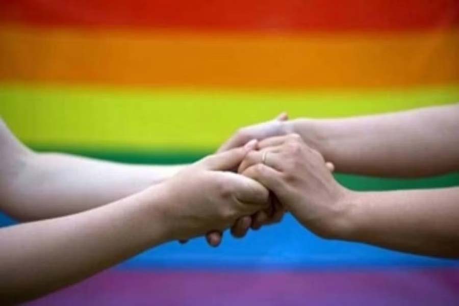 SC verdict on same-sex marriage: Ordinance fear haunts Queer activists