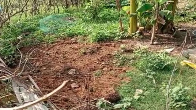 Man beats wife to death, buries her body in backyard in Odisha’s Bonai