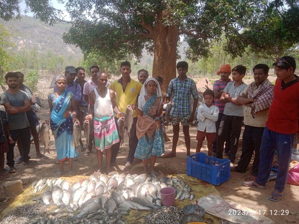 Pisciculture emerges as an excellent source of income