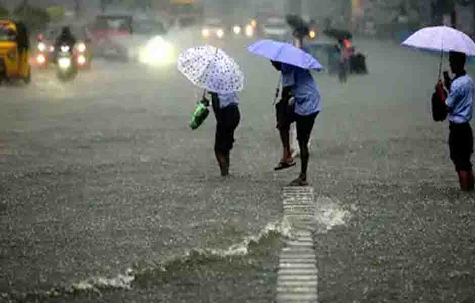 Heavy rains in the district, the collector put the departments on alert