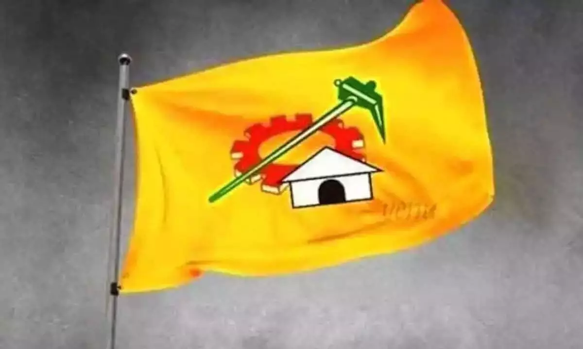 TDP, BC organizations protest with the body