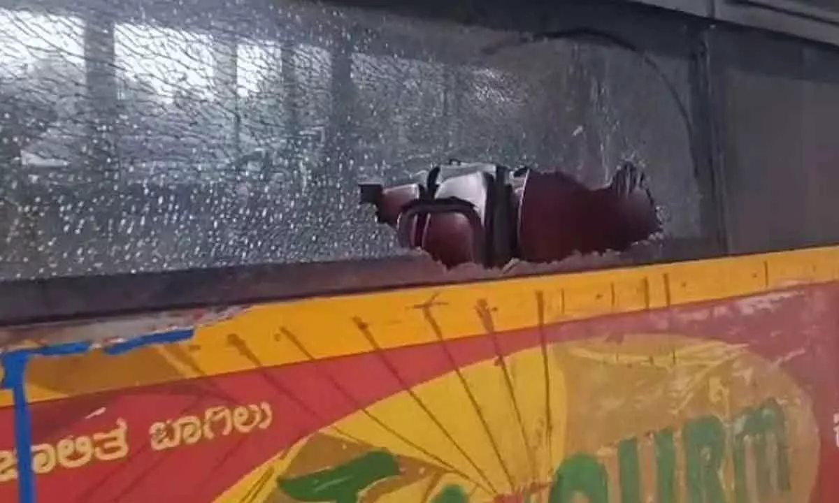 Woman fined Rs 5,000 for breaking window pane of bus