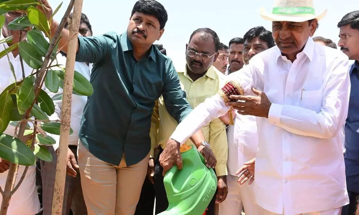 KCR plants saplings under Green India Challenge
