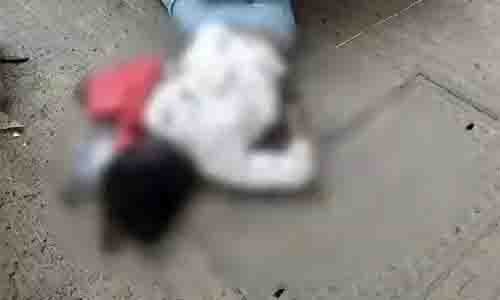 Woman dies after falling from complex in Pandri
