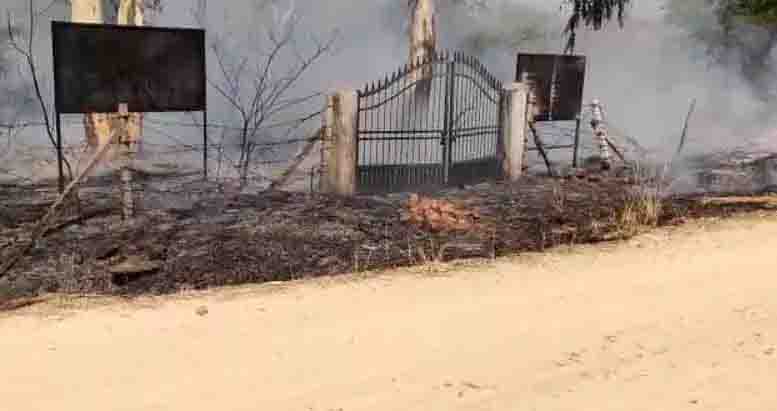 Fierce fire in the hill, trees and plants burnt to ashes