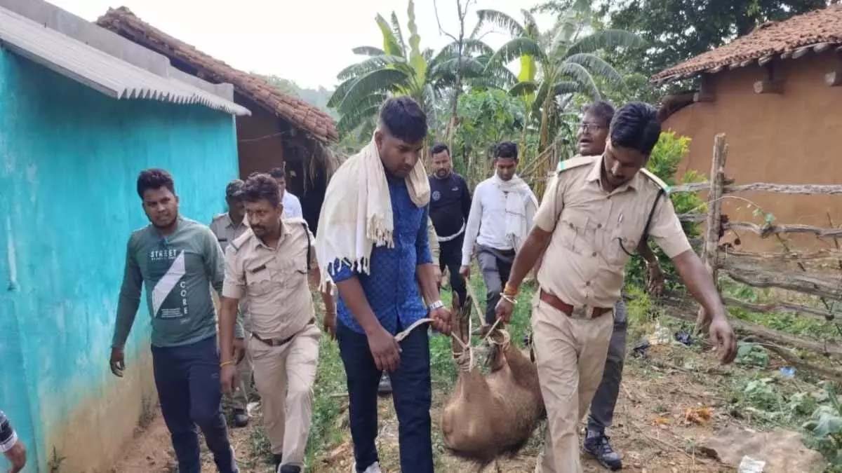 Leopard skin and deer horn recovered from inside the ground