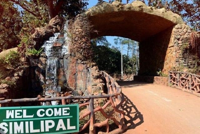 Odisha: Similipal National Park to be closed from June 16, 2023