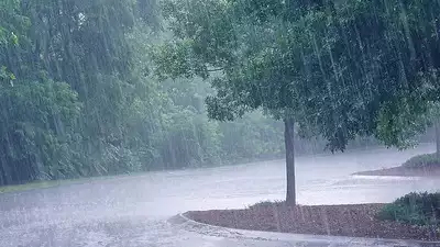 Heavy rain warning in Bastar, Bijapur and Dantewada