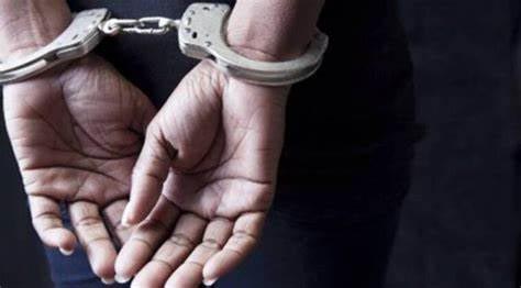Odisha Man Held For Poaching Collared Kingfisher, Posting It On Social Media