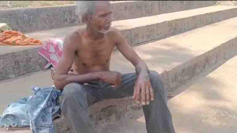 A bear lying on the farmer reached the farm, attacked and injured