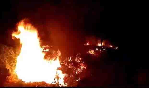 Antisocial elements carried out a major incident in Children’s Park